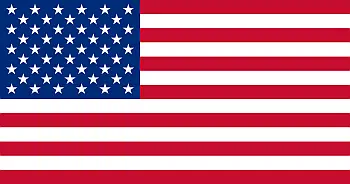 american-surveys-flag
