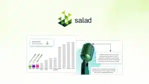 Salad Transcription AP