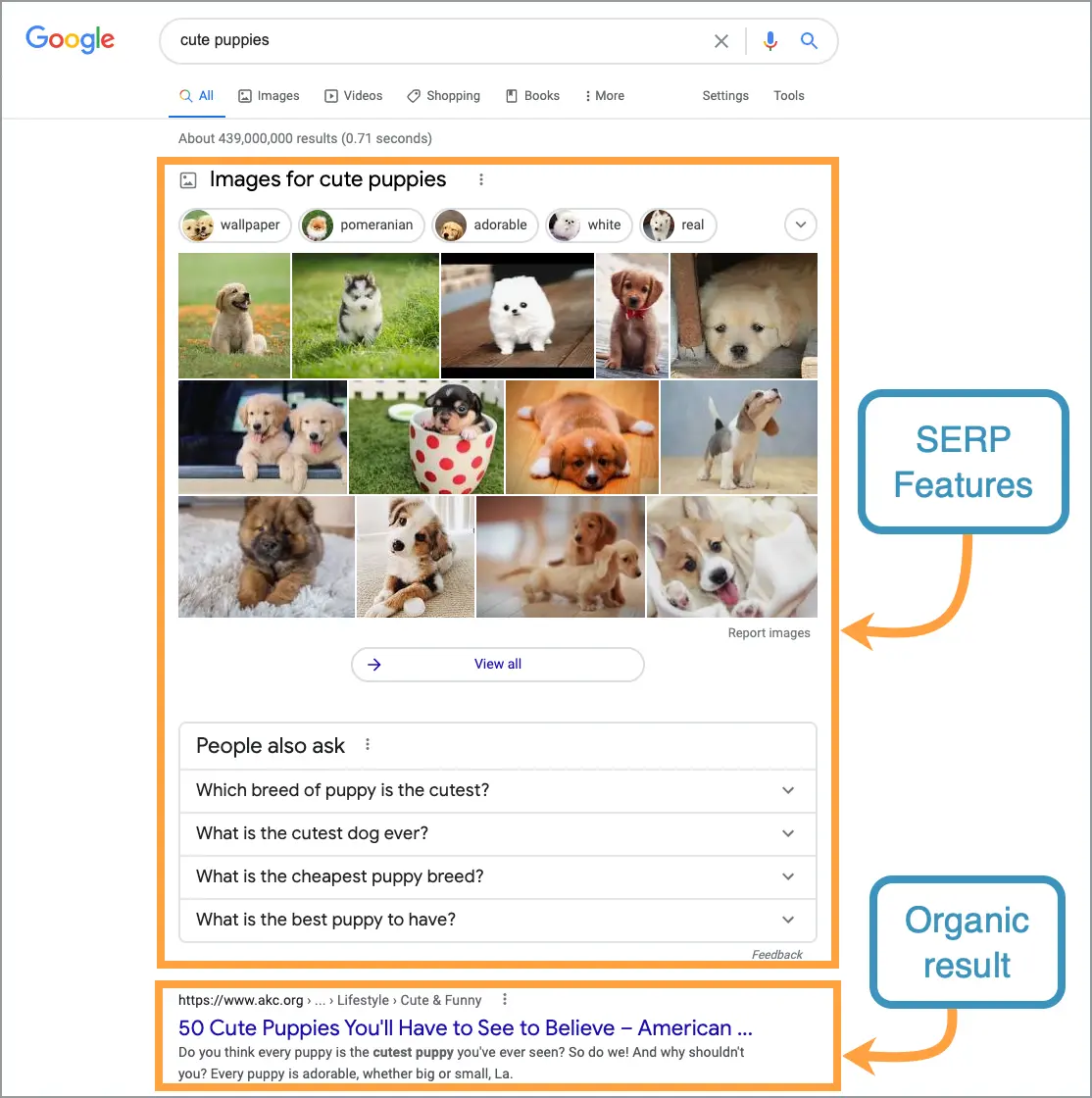 Serp Features: Boost Your Search Visibility Today